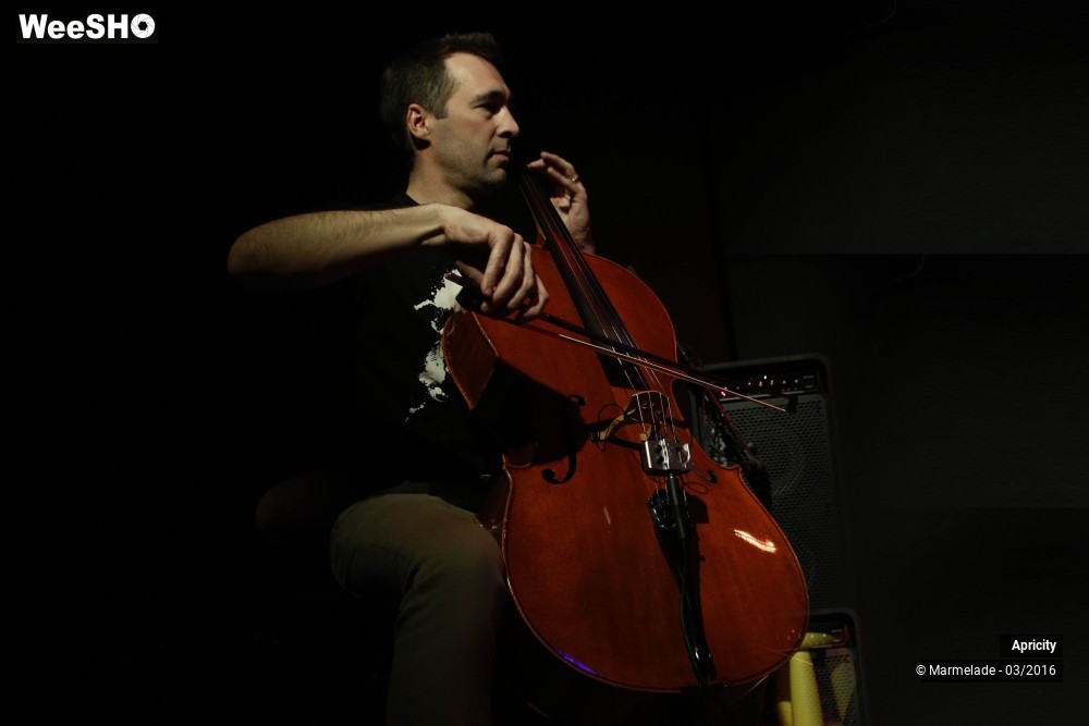 39/40 photos du spectacle Apricity