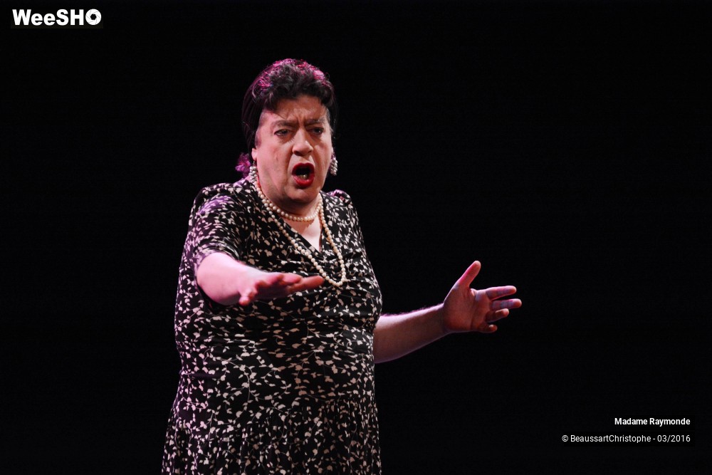 26/42 photos du spectacle Lady Raymonde
