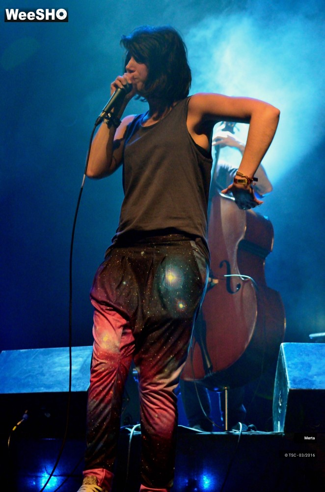 13/38 photos du spectacle Merta