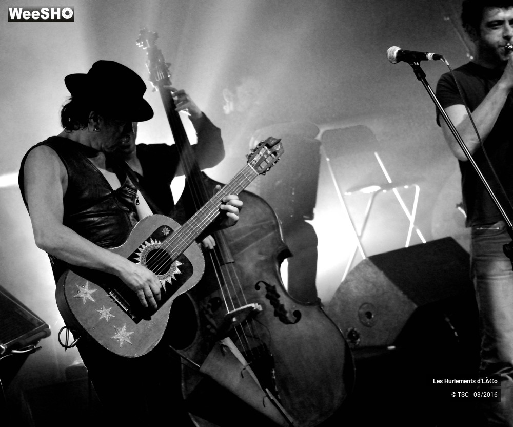 30/31 photos du spectacle Les hurlements d'léo chante Mano Solo