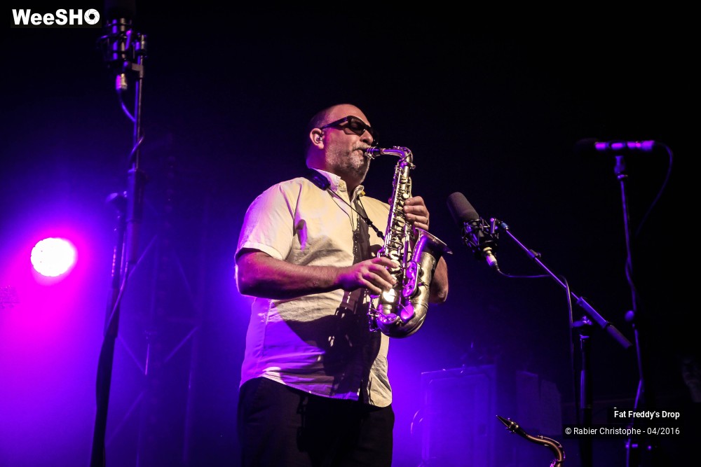 2/31 photos du spectacle Fat Freddy's Drop
