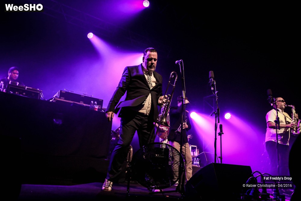 6/31 photos du spectacle Fat Freddy's Drop