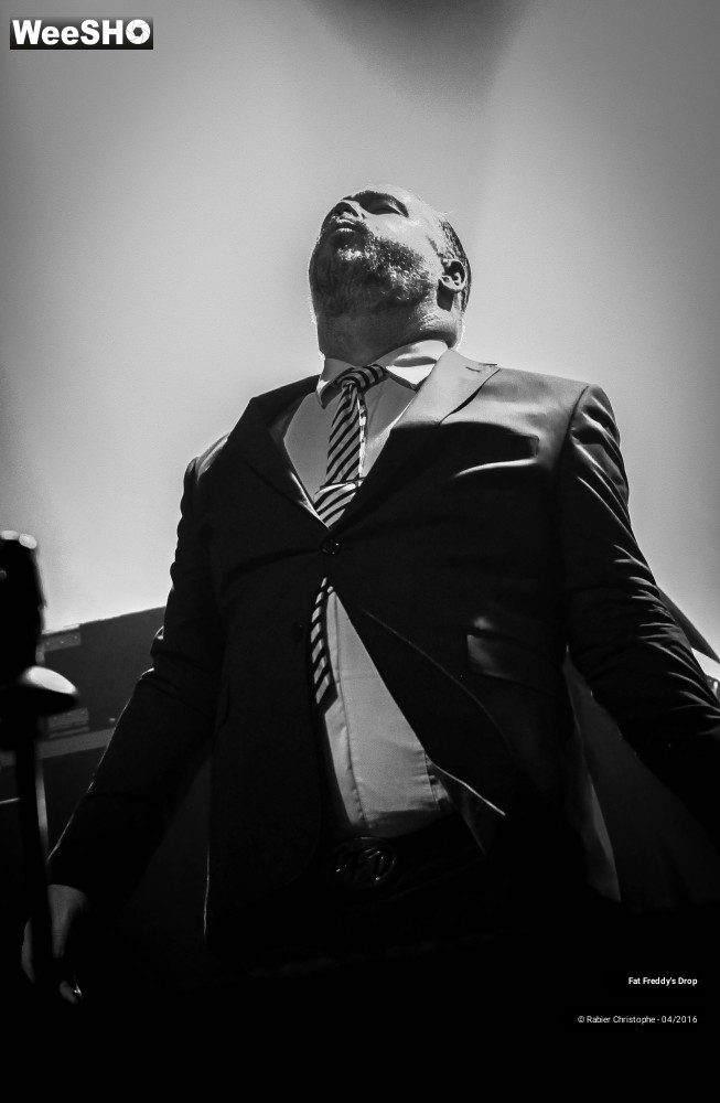 13/31 photos du spectacle Fat Freddy's Drop