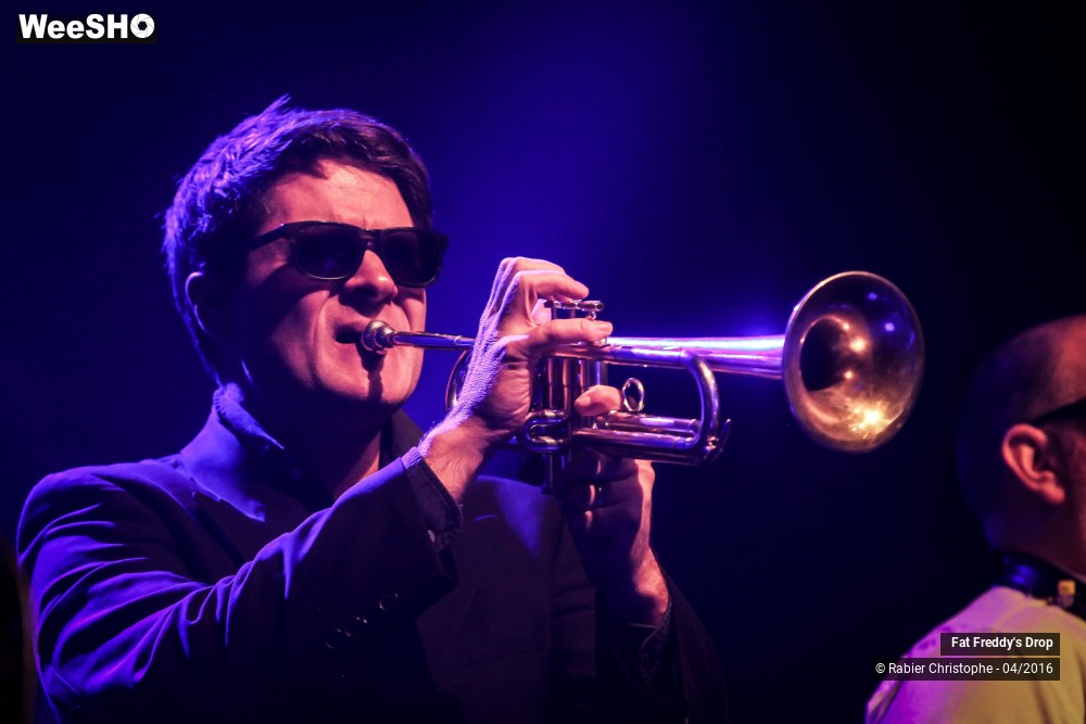 20/31 photos du spectacle Fat Freddy's Drop