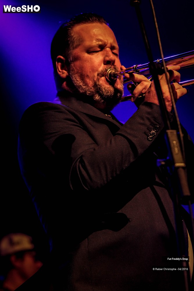 21/31 photos du spectacle Fat Freddy's Drop