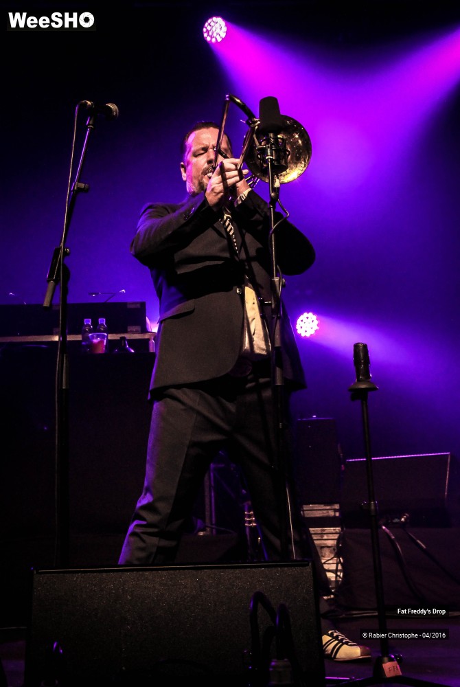22/31 photos du spectacle Fat Freddy's Drop