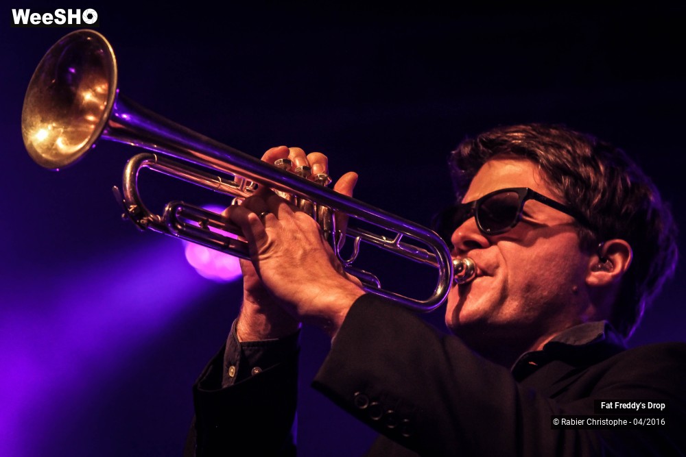 28/31 photos du spectacle Fat Freddy's Drop