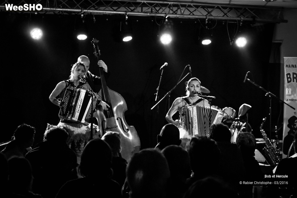 4/33 photos du spectacle Bob et Hercule