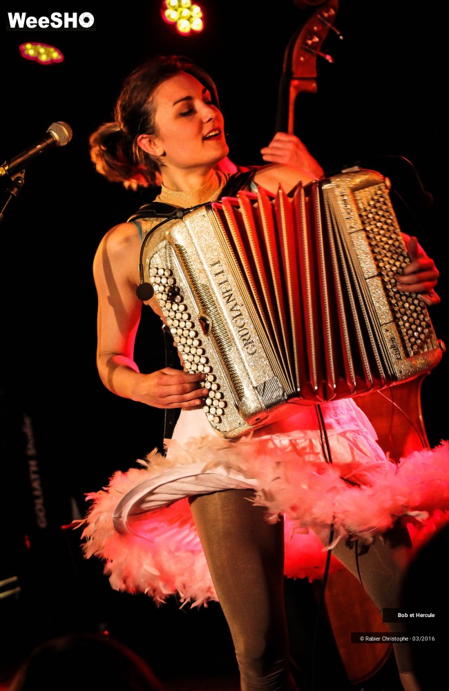 12/33 photos du spectacle Bob et Hercule
