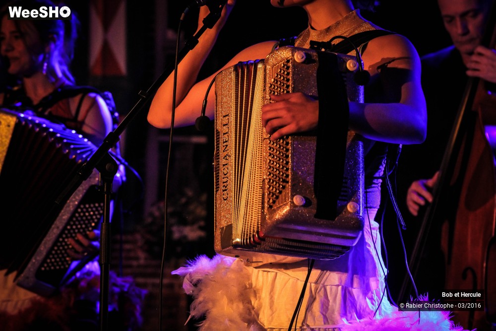 13/33 photos du spectacle Bob et Hercule
