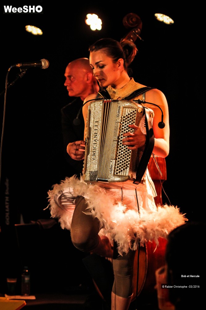 14/33 photos du spectacle Bob et Hercule