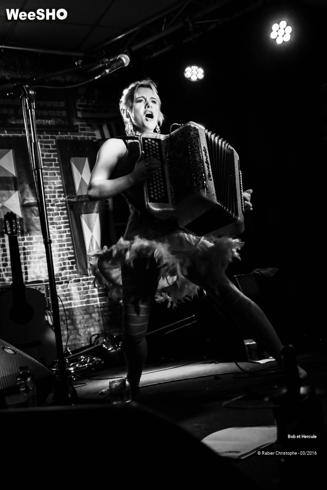 18/33 photos du spectacle Bob et Hercule