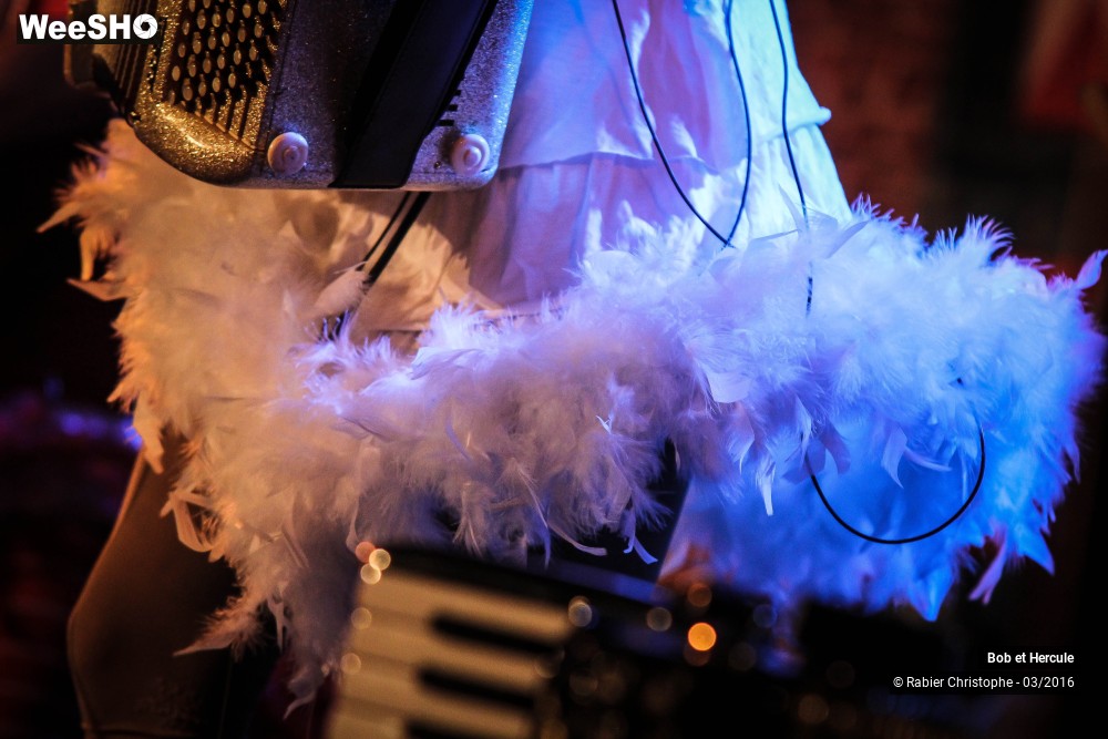19/33 photos du spectacle Bob et Hercule