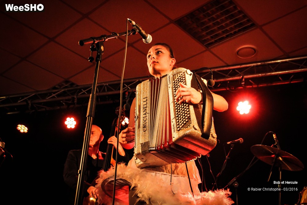 22/33 photos du spectacle Bob et Hercule