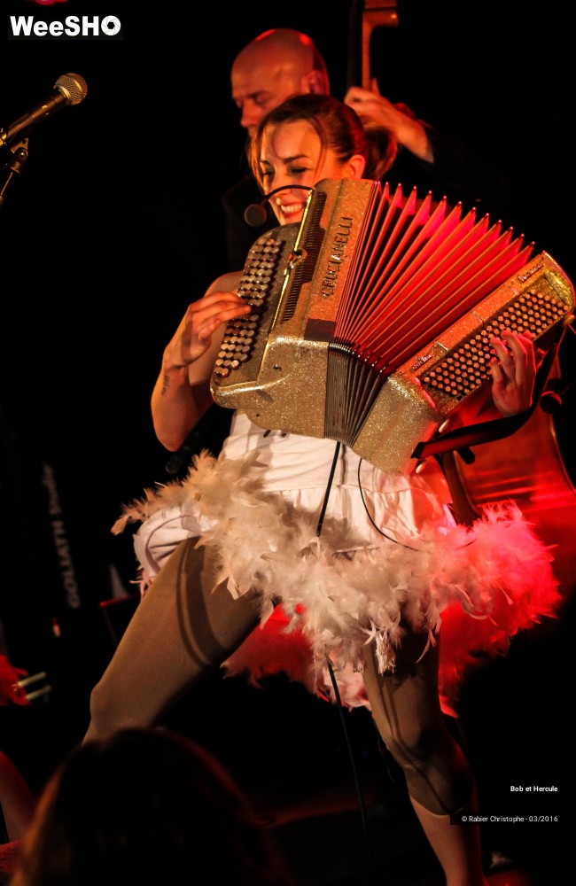 23/33 photos du spectacle Bob et Hercule