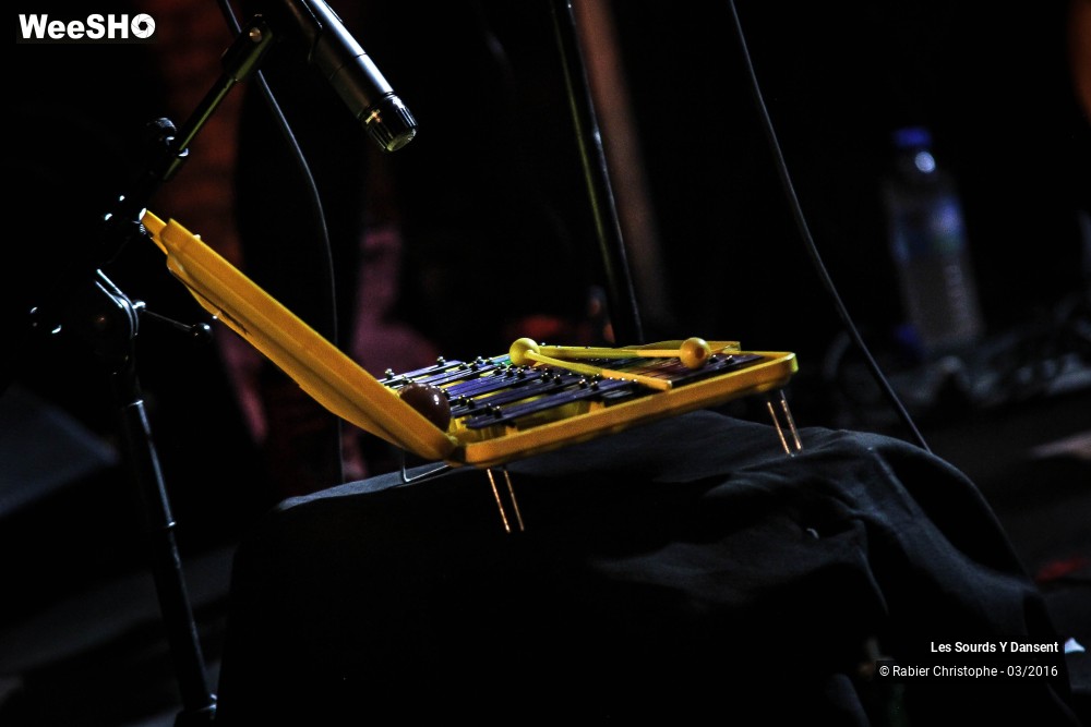 23/26 photos du spectacle Les sourds y dansent