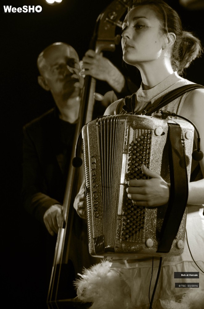 14/19 photos du spectacle Bob et Hercule
