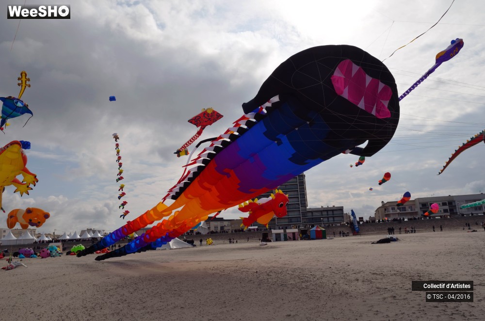 2/49 photos du spectacle vol libre et démonstration des délégations