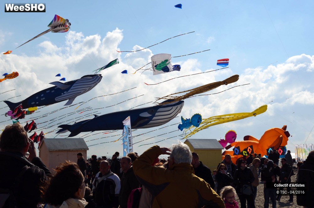 3/49 photos du spectacle vol libre et démonstration des délégations