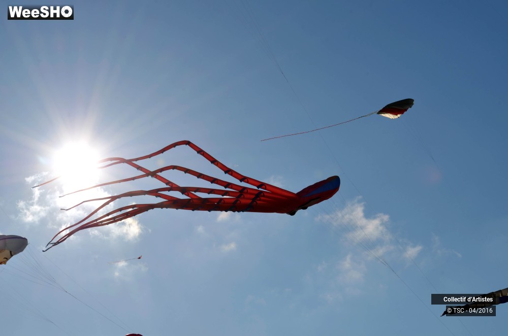 28/49 photos du spectacle vol libre et démonstration des délégations