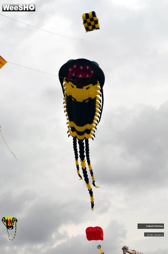 29/49 photos du spectacle vol libre et démonstration des délégations