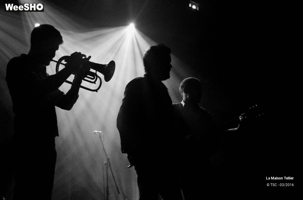 16/19 photos du spectacle La Maison Tellier