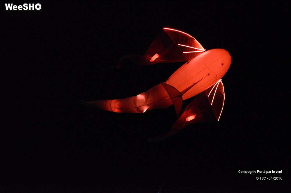 9/38 photos du spectacle Un vol de nuit inoubliable