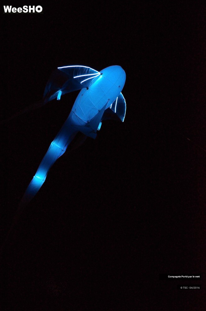 14/38 photos du spectacle Un vol de nuit inoubliable