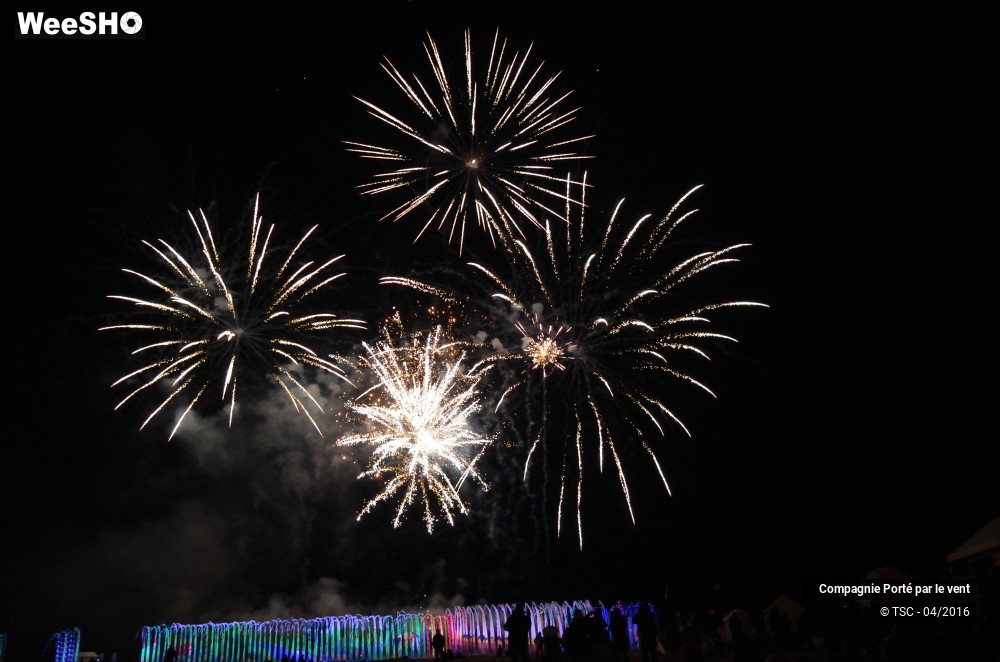 20/38 photos du spectacle Un vol de nuit inoubliable