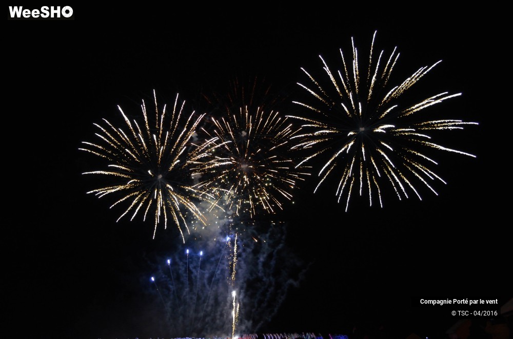 22/38 photos du spectacle Un vol de nuit inoubliable