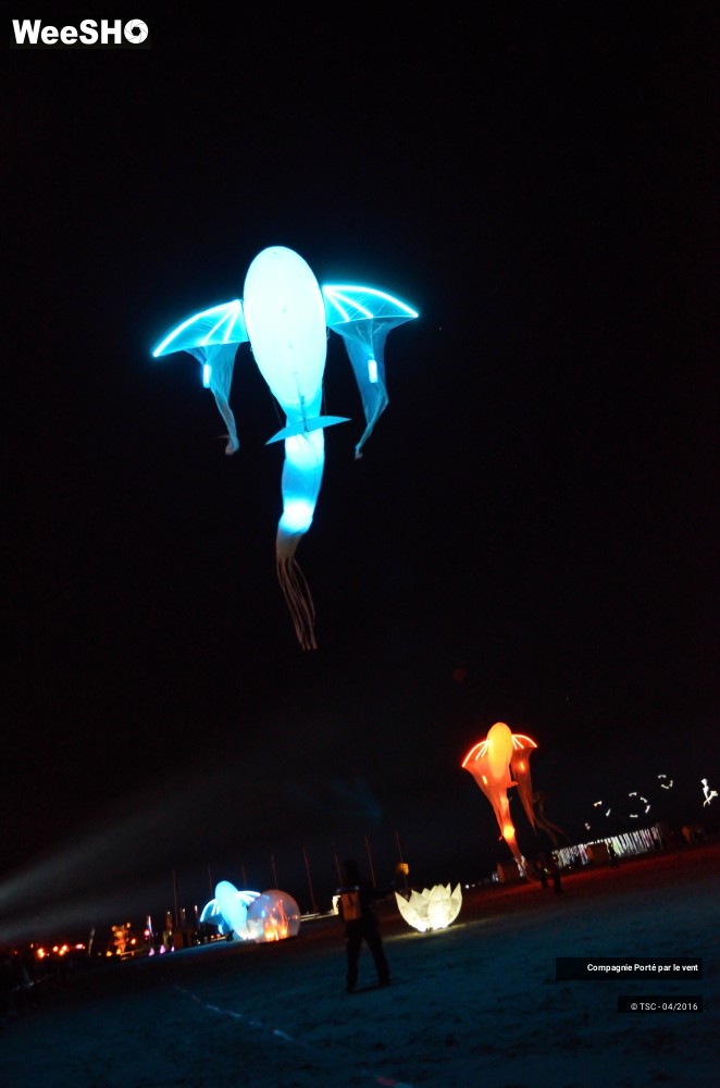 30/38 photos du spectacle Un vol de nuit inoubliable