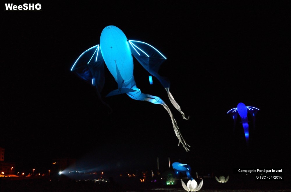 31/38 photos du spectacle Un vol de nuit inoubliable