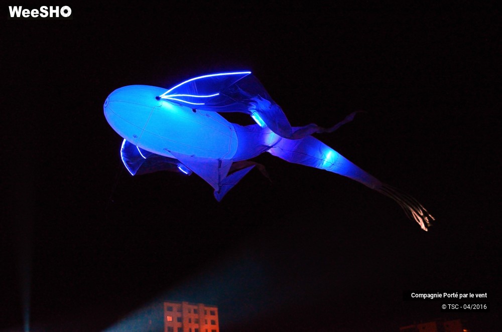 32/38 photos du spectacle Un vol de nuit inoubliable