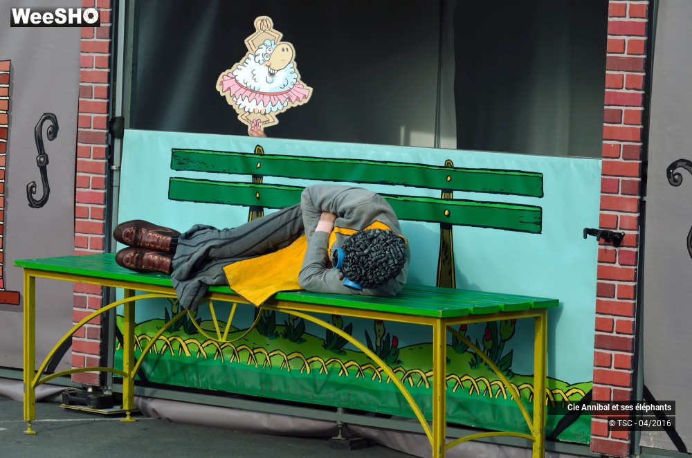 16/30 photos du spectacle Economic strip