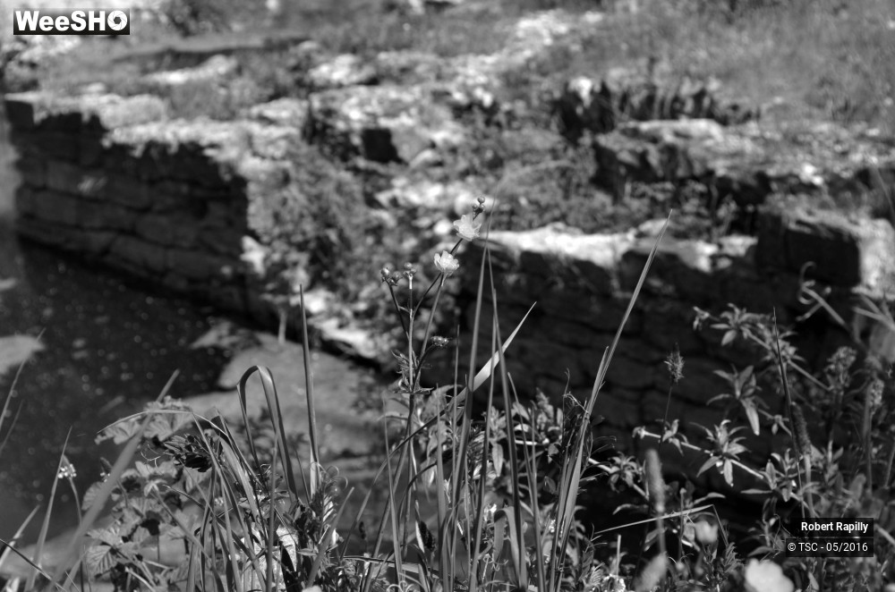 2/49 photos du spectacle De l´archéologie aux métiers du numérique