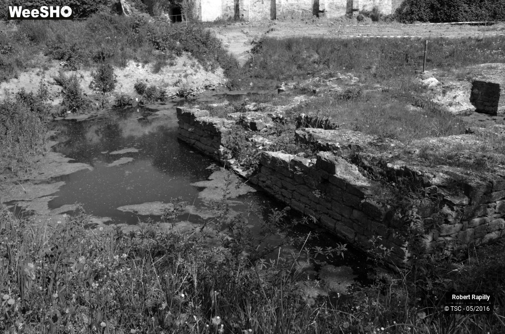 24/49 photos du spectacle De l´archéologie aux métiers du numérique