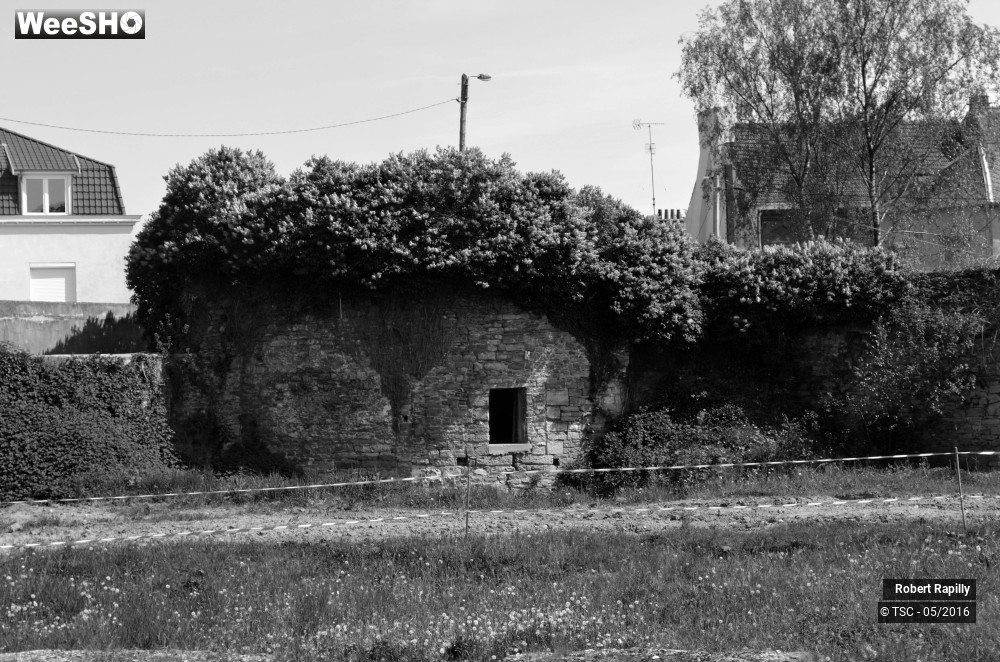 29/49 photos du spectacle De l´archéologie aux métiers du numérique