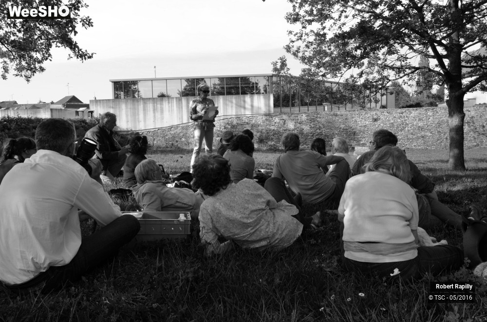 34/49 photos du spectacle De l´archéologie aux métiers du numérique