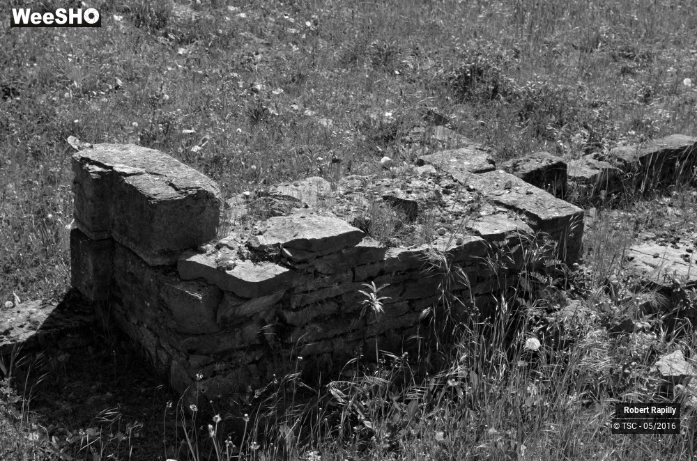 49/49 photos du spectacle De l´archéologie aux métiers du numérique