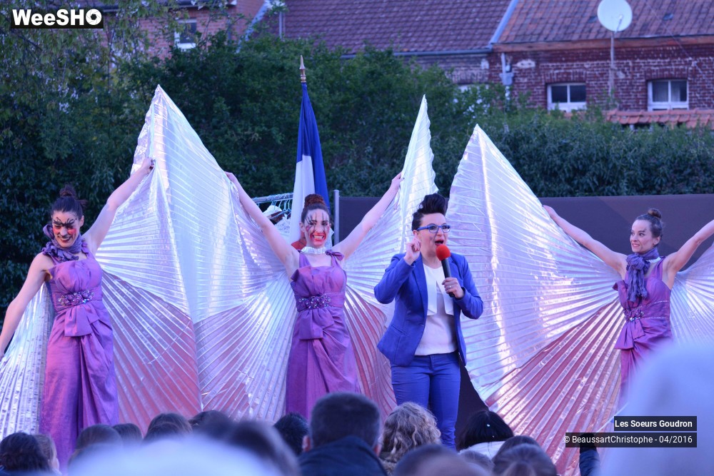 14/44 photos du spectacle Dames de France