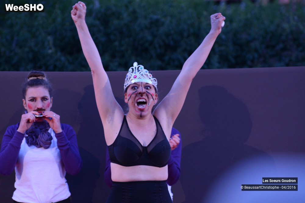 22/44 photos du spectacle Dames de France