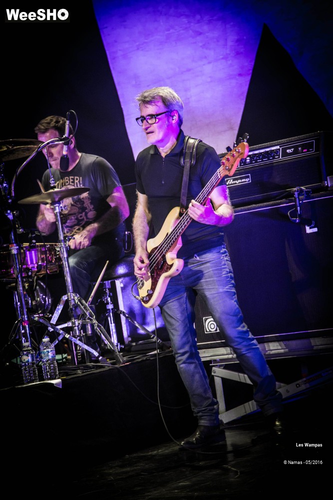 2/46 photos du spectacle Les Wampas