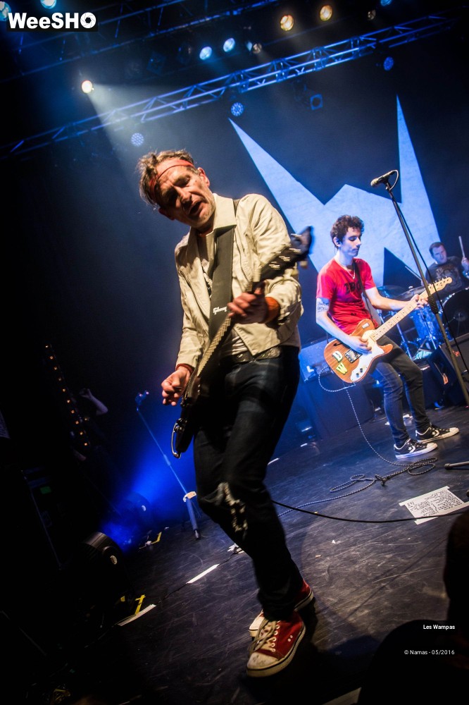 6/46 photos du spectacle Les Wampas