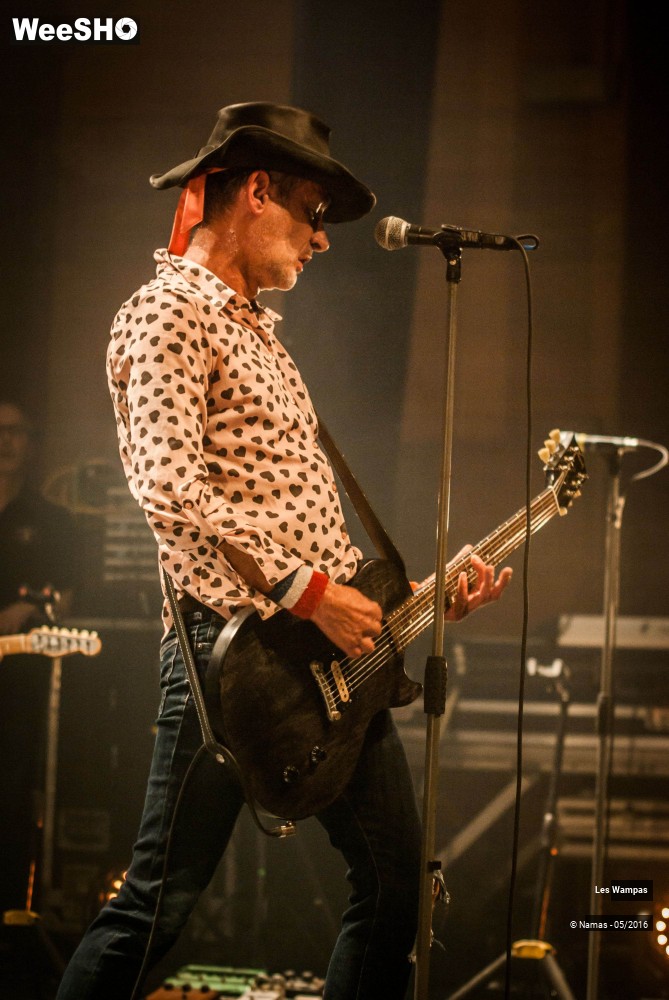7/46 photos du spectacle Les Wampas