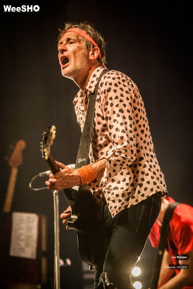 8/46 photos du spectacle Les Wampas