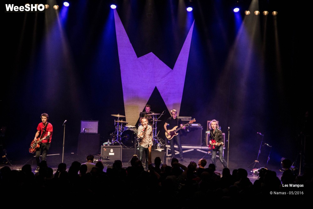 12/46 photos du spectacle Les Wampas