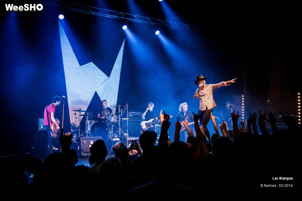 13/46 photos du spectacle Les Wampas