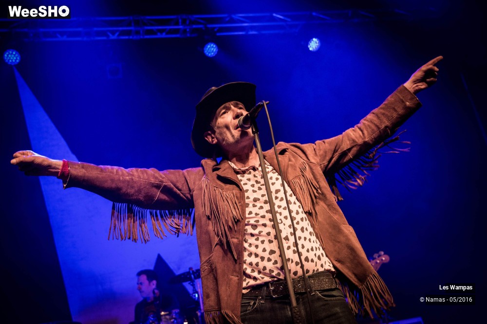 14/46 photos du spectacle Les Wampas