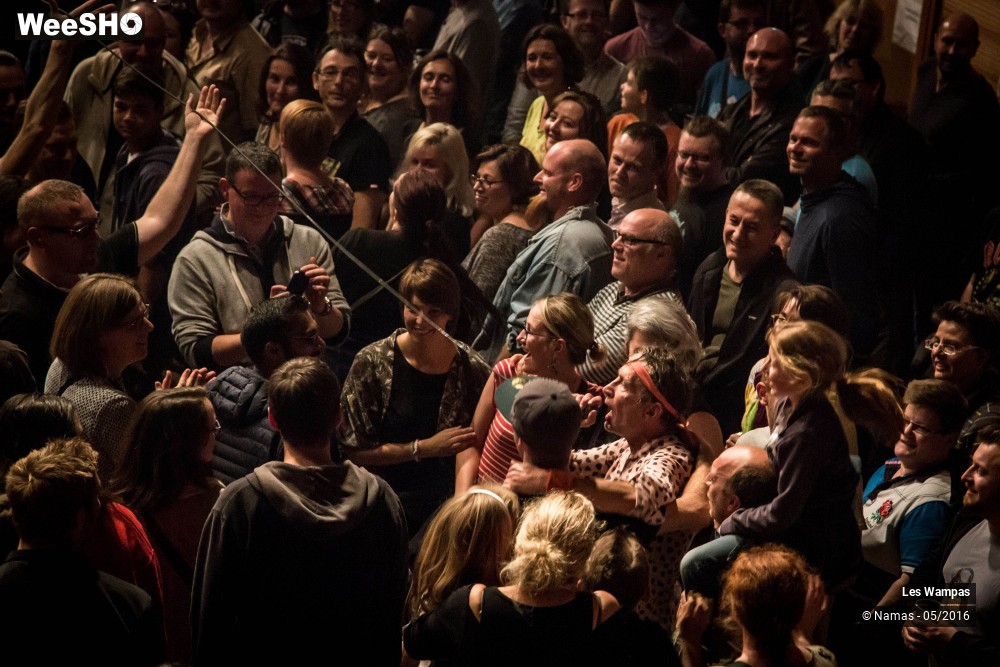 16/46 photos du spectacle Les Wampas