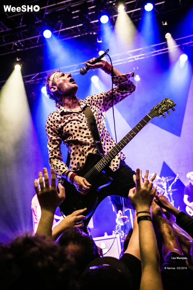 17/46 photos du spectacle Les Wampas